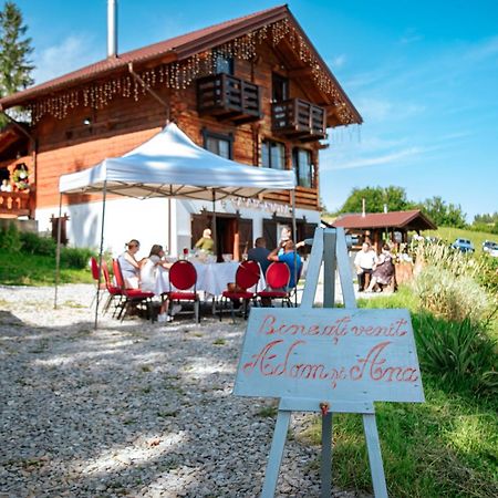 Săcel Tulean Cabin Bed & Breakfast エクステリア 写真