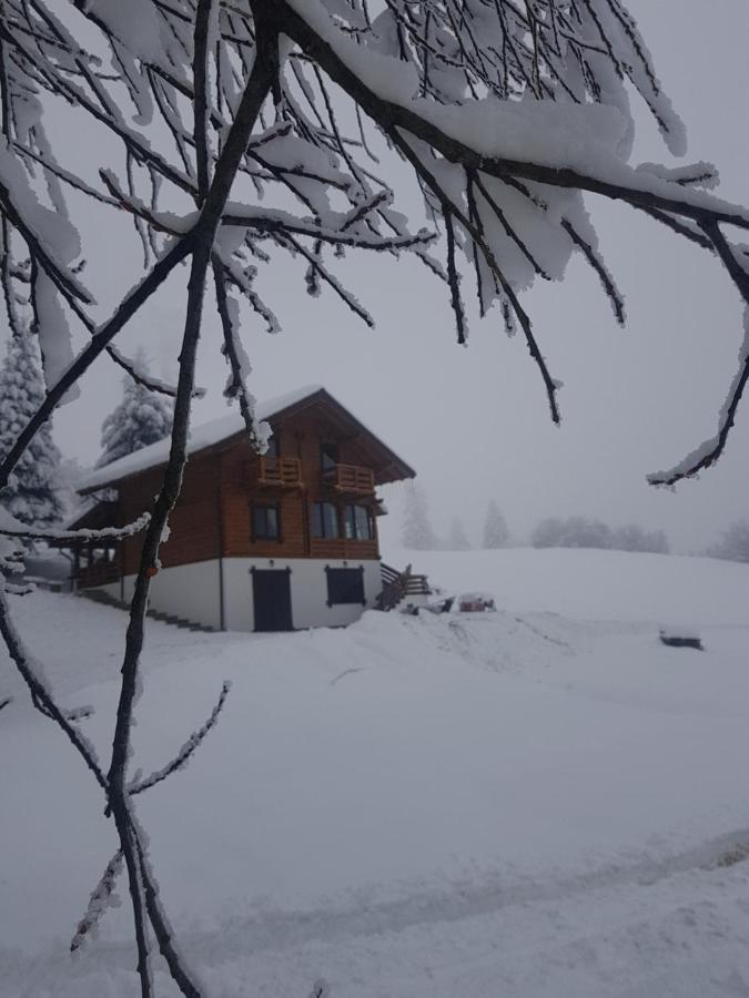 Tulean Cabin Săcel エクステリア 写真