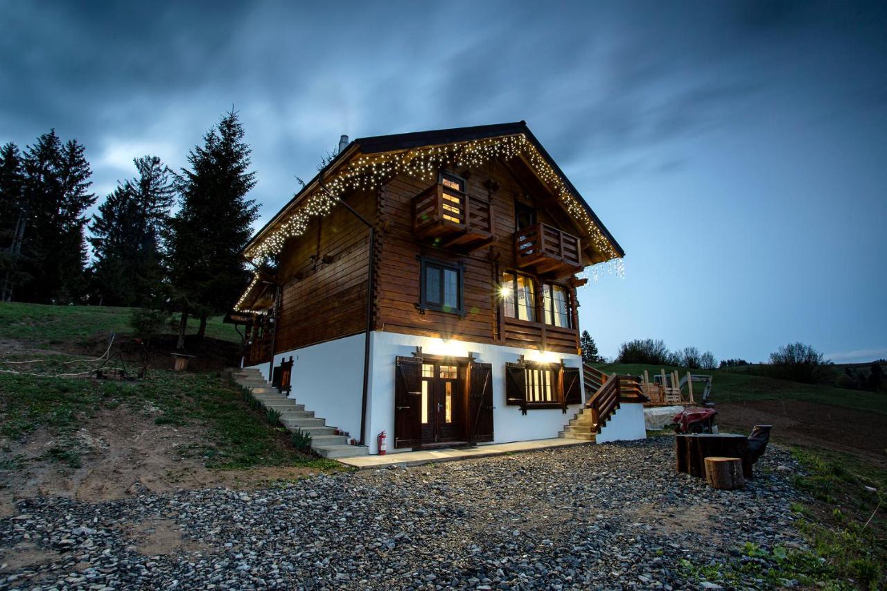Tulean Cabin Săcel エクステリア 写真