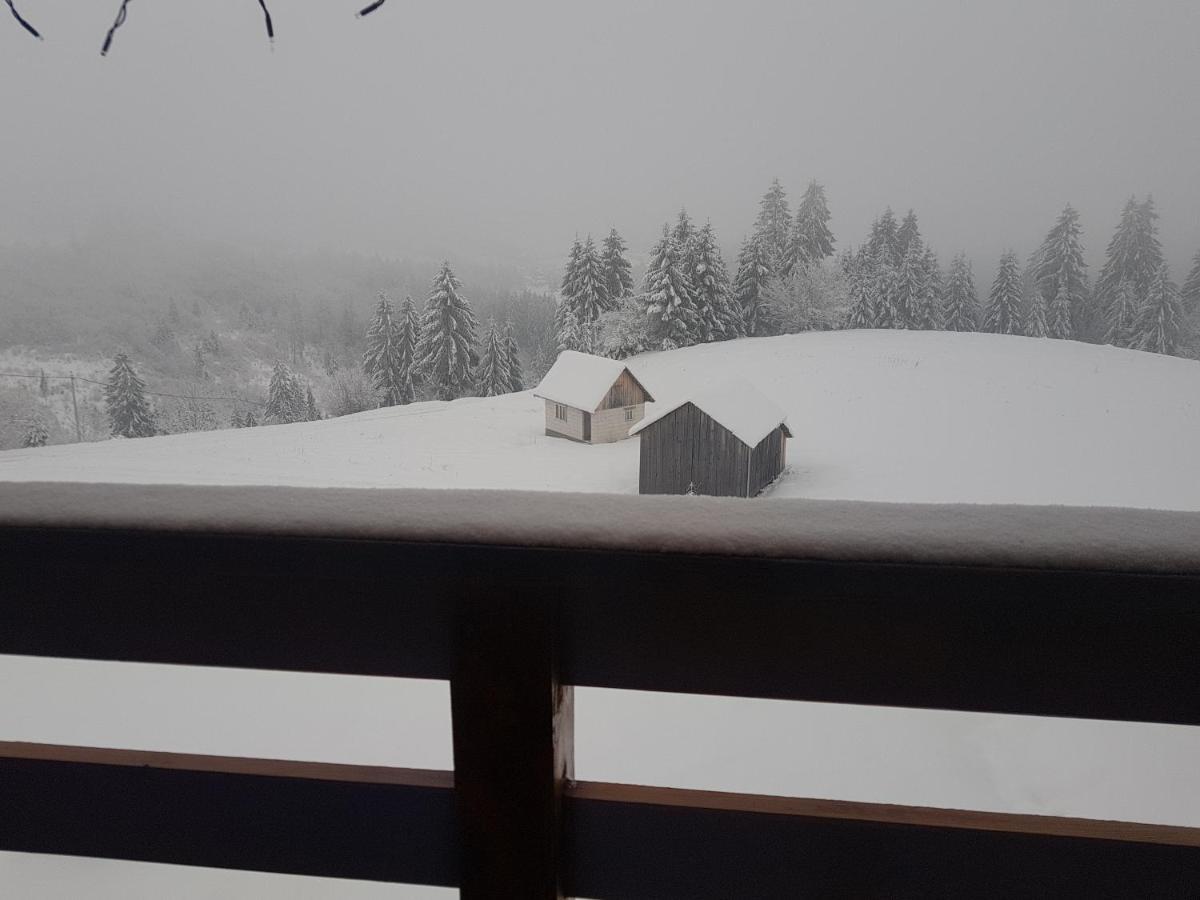 Tulean Cabin Săcel エクステリア 写真