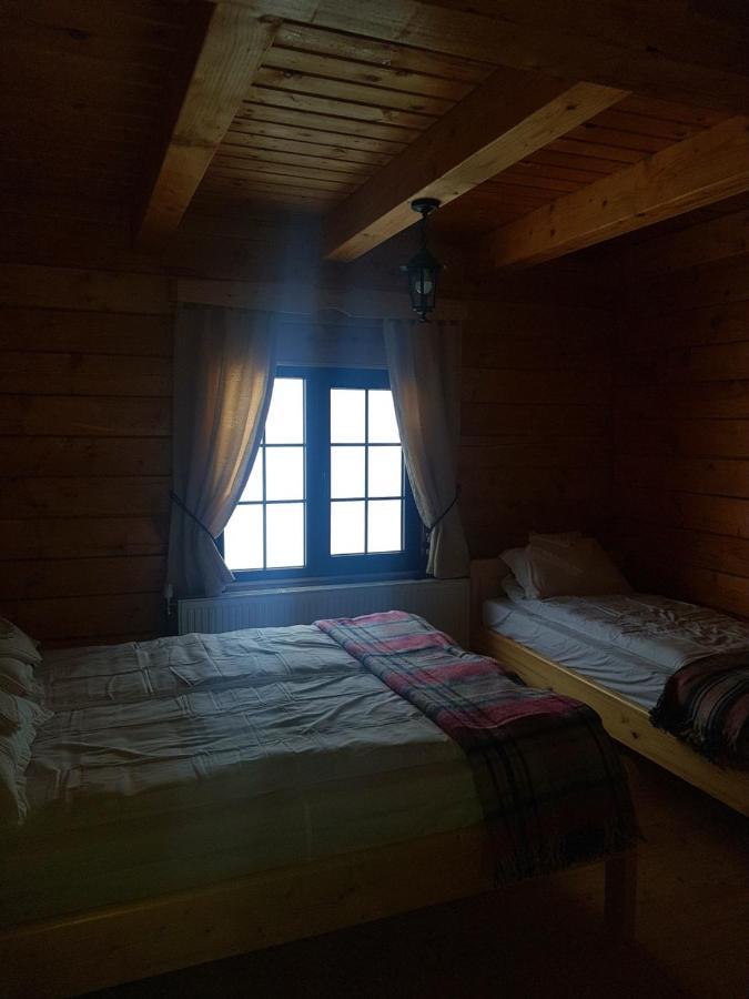 Tulean Cabin Săcel エクステリア 写真