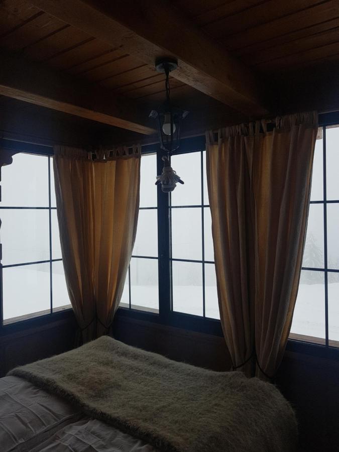 Tulean Cabin Săcel エクステリア 写真