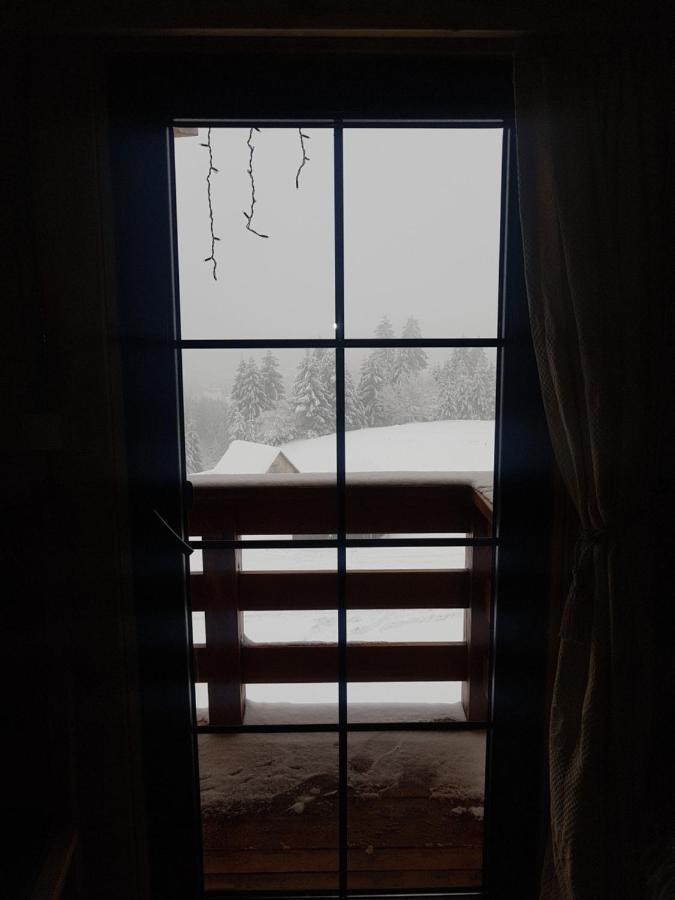 Tulean Cabin Săcel エクステリア 写真