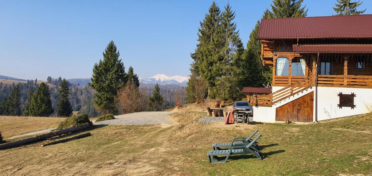 Tulean Cabin Săcel エクステリア 写真