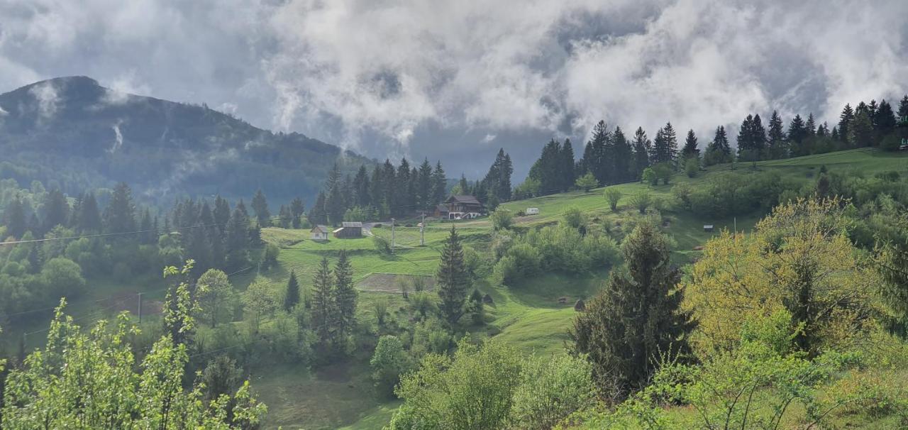 Tulean Cabin Săcel エクステリア 写真