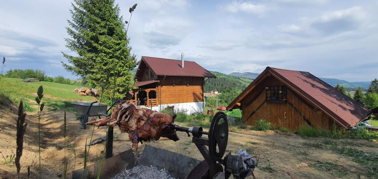 Săcel Tulean Cabin Bed & Breakfast エクステリア 写真